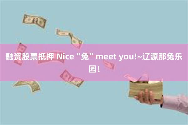 融资股票抵押 Nice“兔”meet you!~辽源那兔乐园！