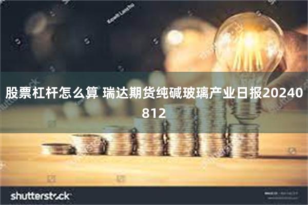 股票杠杆怎么算 瑞达期货纯碱玻璃产业日报20240812