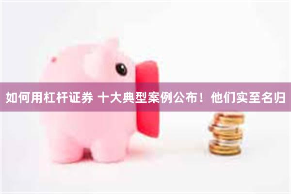 如何用杠杆证券 十大典型案例公布！他们实至名归