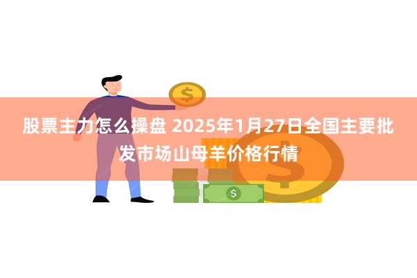 股票主力怎么操盘 2025年1月27日全国主要批发市场山母羊价格行情