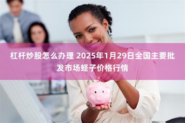 杠杆炒股怎么办理 2025年1月29日全国主要批发市场蛏子价格行情